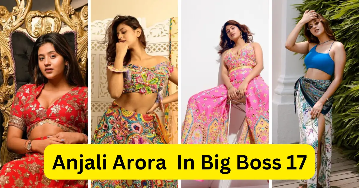 Anjali Arora In Big Boss 17