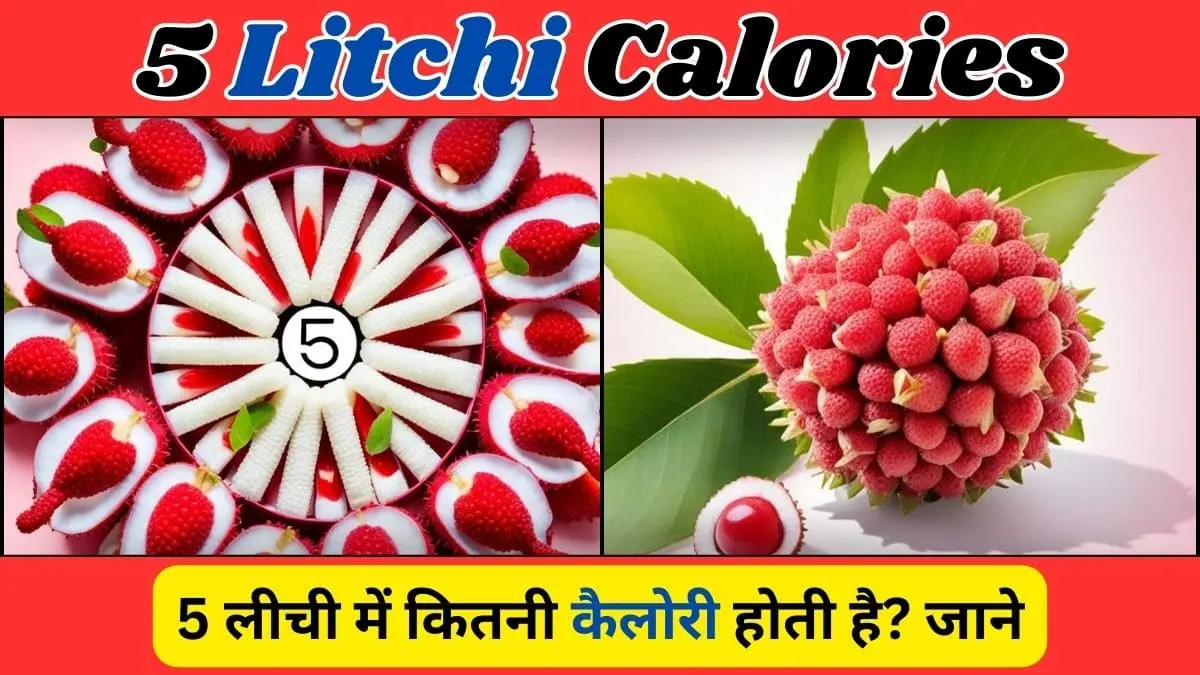 5 Litchi Calories